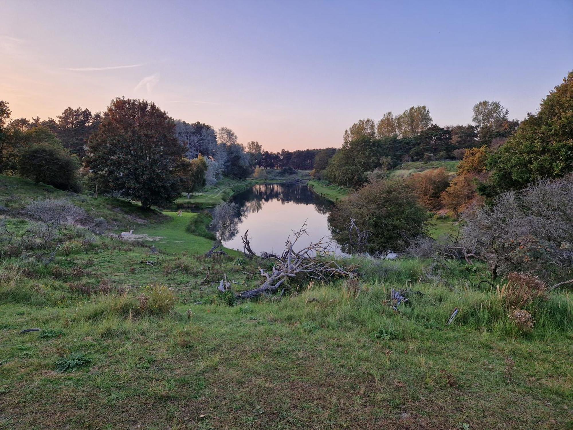 Bed and Breakfast Duin-Vliet Bentveld Экстерьер фото
